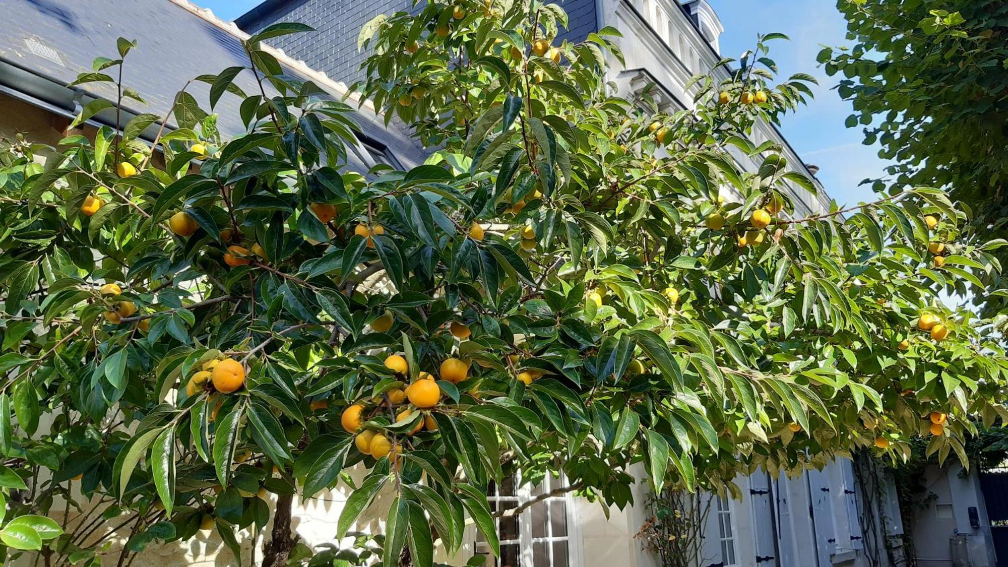 La Heraudiere Bed & Breakfast Tours Exterior photo